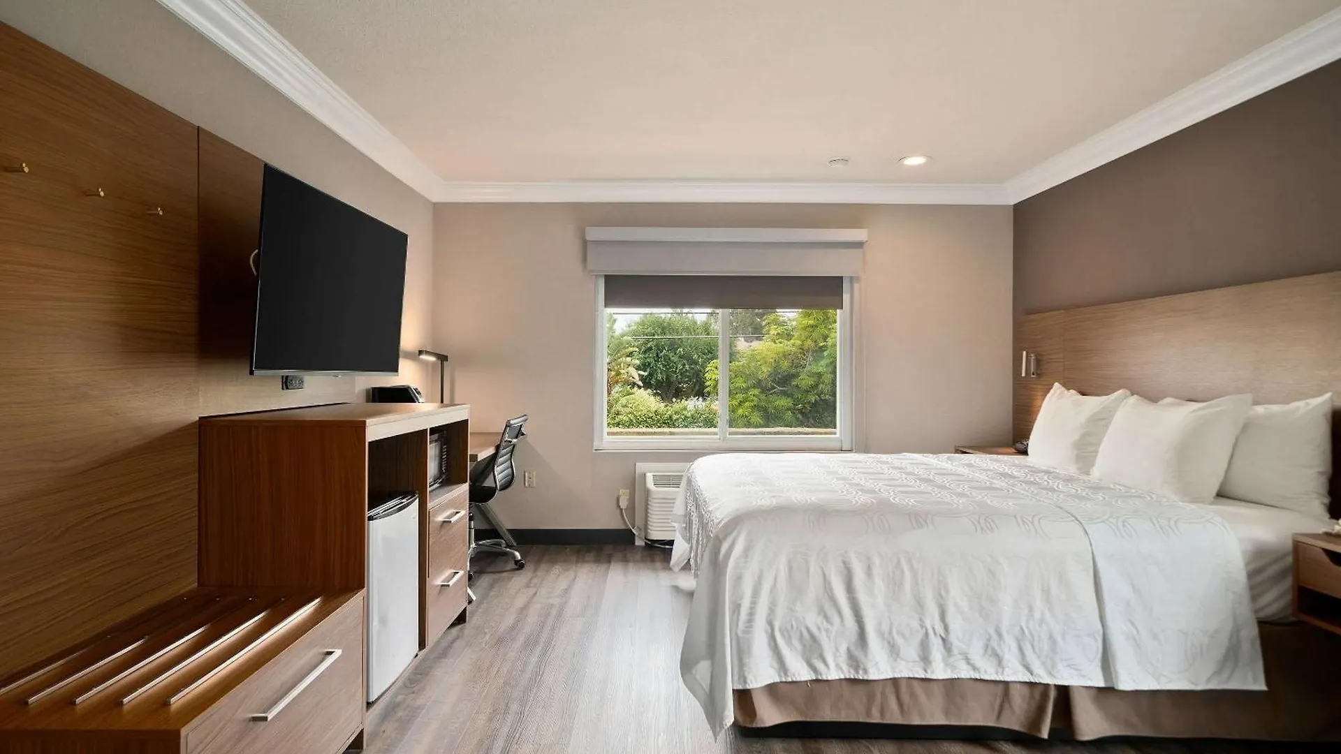 Best Western Plus Newport Mesa Inn Costa Mesa Stati Uniti